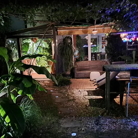 Oasis 1 * Sladkovicovo