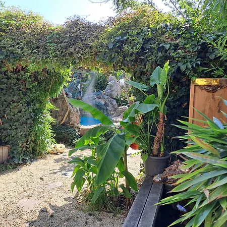 Oasis 1 דירה *